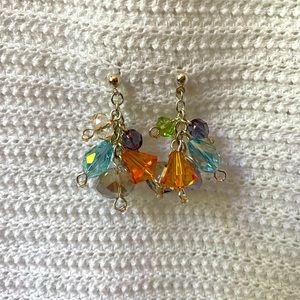 Multicolor with silver tone earrings